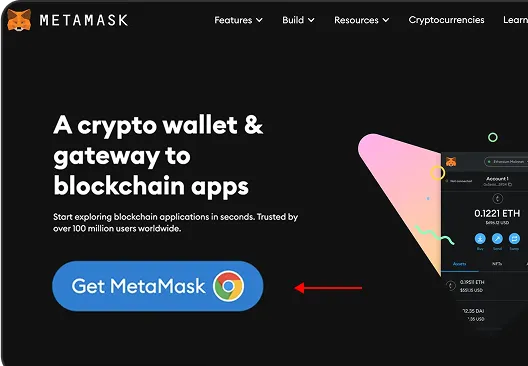 Visit MetaMask Website